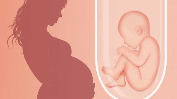 试管婴儿降调期间可以喝中药调理吗